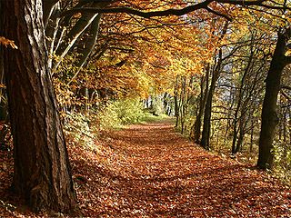 Ab in den Herbst