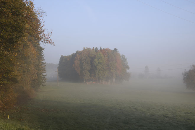 OL-Tag der ZOS