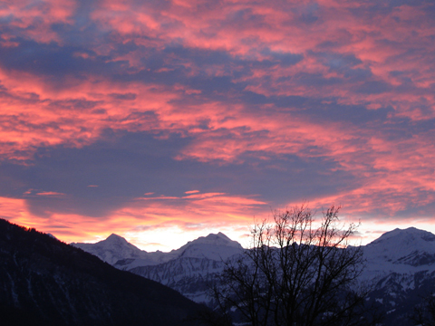 Ski-und Schlittschuhtag