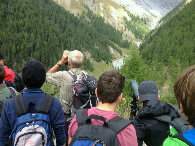 3. Tag - Röhrende Hirsche im Nationalpark