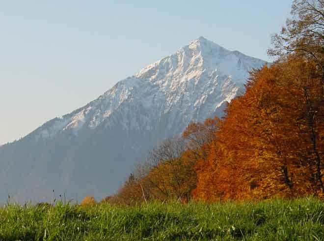 Schöne Herbstferien und spannende Schnupperlehren