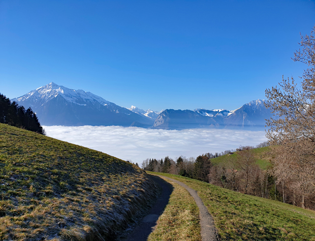 März-Wanderung zum Bluemeturm